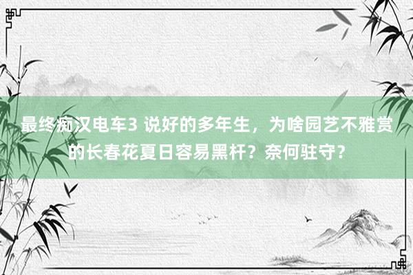 最终痴汉电车3 说好的多年生，为啥园艺不雅赏的长春花夏日容易黑杆？奈何驻守？