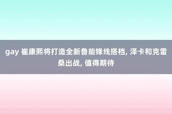 gay 崔康熙将打造全新鲁能锋线搭档， 泽卡和克雷桑出战， 值得期待