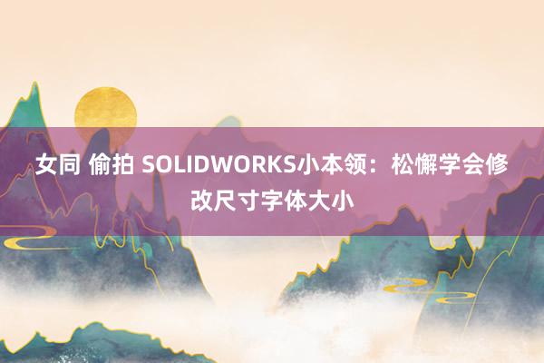 女同 偷拍 SOLIDWORKS小本领：松懈学会修改尺寸字体大小