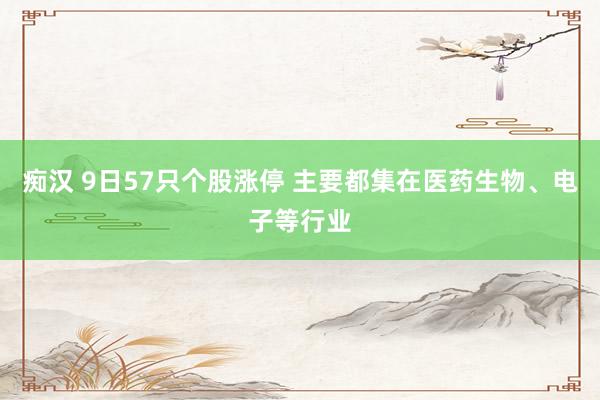 痴汉 9日57只个股涨停 主要都集在医药生物、电子等行业