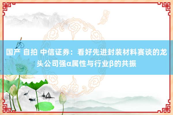 国产 自拍 中信证券：看好先进封装材料赛谈的龙头公司强α属性与行业β的共振