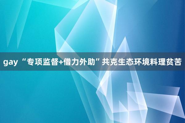 gay “专项监督+借力外助”共克生态环境料理贫苦