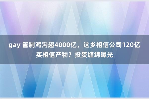 gay 管制鸿沟超4000亿，这乡相信公司120亿买相信产物？投资缠绵曝光