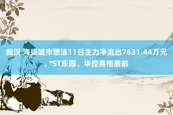 痴汉 海绵城市想法11日主力净流出7631.44万元, *ST东园、华控赛格居前