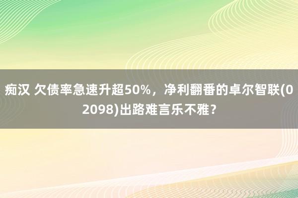 痴汉 欠债率急速升超50%，净利翻番的卓尔智联(02098)出路难言乐不雅？