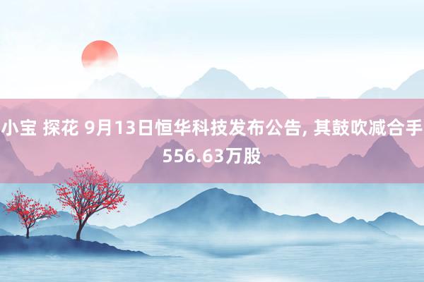 小宝 探花 9月13日恒华科技发布公告， 其鼓吹减合手556.63万股