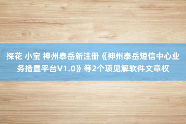 探花 小宝 神州泰岳新注册《神州泰岳短信中心业务措置平台V1.0》等2个项见解软件文章权