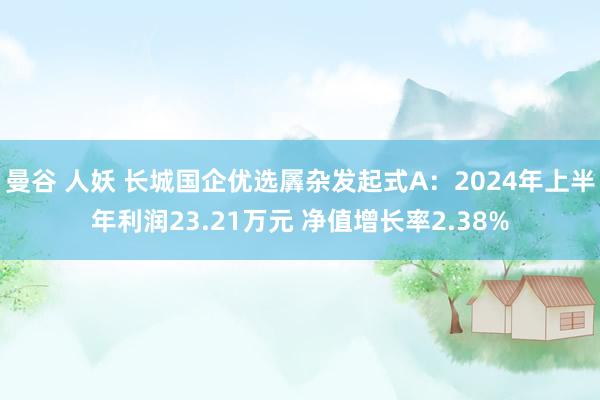 曼谷 人妖 长城国企优选羼杂发起式A：2024年上半年利润23.21万元 净值增长率2.38%