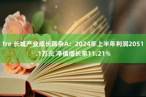 fre 长城产业成长羼杂A：2024年上半年利润2051.1万元 净值增长率11.21%