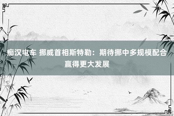 痴汉电车 挪威首相斯特勒：期待挪中多规模配合赢得更大发展