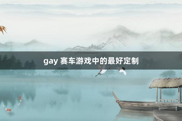 gay 赛车游戏中的最好定制