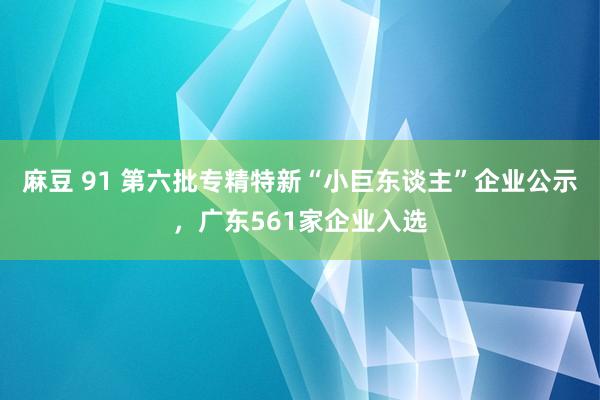 麻豆 91 第六批专精特新“小巨东谈主”企业公示，广东561家企业入选