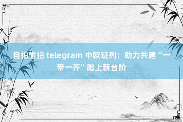 自拍偷拍 telegram 中欧班列：助力共建“一带一齐”踏上新台阶