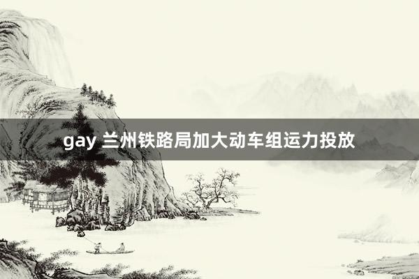 gay 兰州铁路局加大动车组运力投放