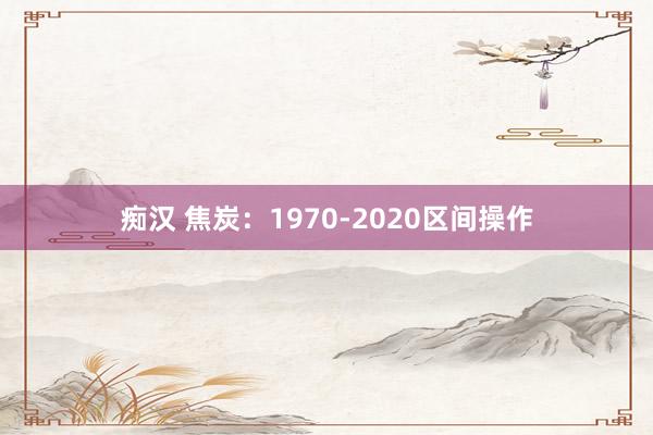 痴汉 焦炭：1970-2020区间操作