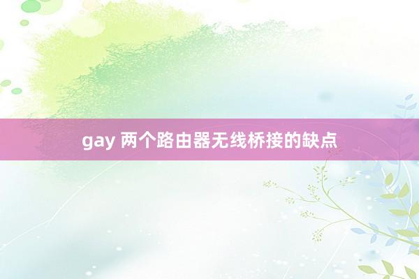 gay 两个路由器无线桥接的缺点