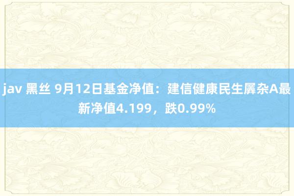 jav 黑丝 9月12日基金净值：建信健康民生羼杂A最新净值4.199，跌0.99%