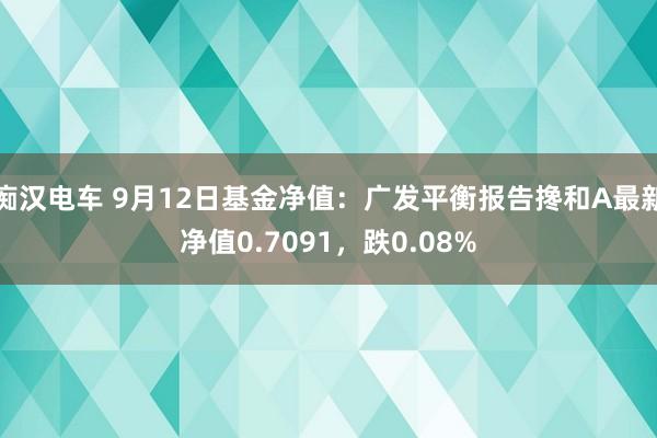 痴汉电车 9月12日基金净值：广发平衡报告搀和A最新净值0.7091，跌0.08%