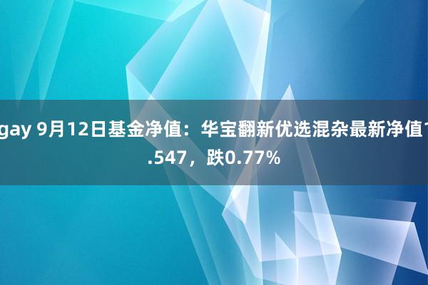 gay 9月12日基金净值：华宝翻新优选混杂最新净值1.547，跌0.77%