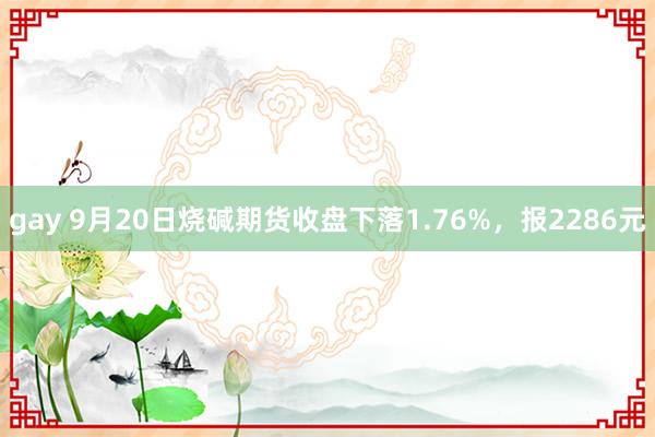 gay 9月20日烧碱期货收盘下落1.76%，报2286元