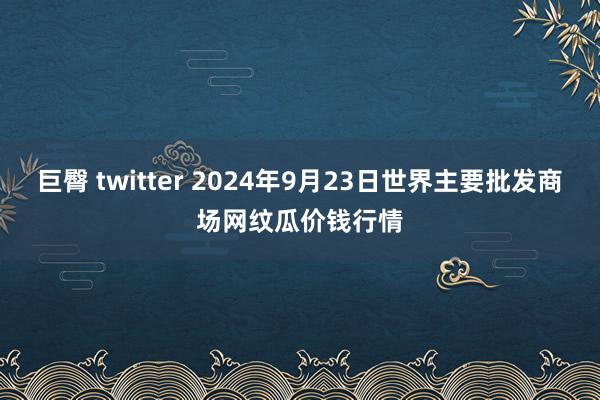 巨臀 twitter 2024年9月23日世界主要批发商场网纹瓜价钱行情