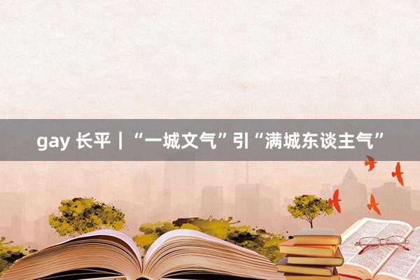 gay 长平｜“一城文气”引“满城东谈主气”