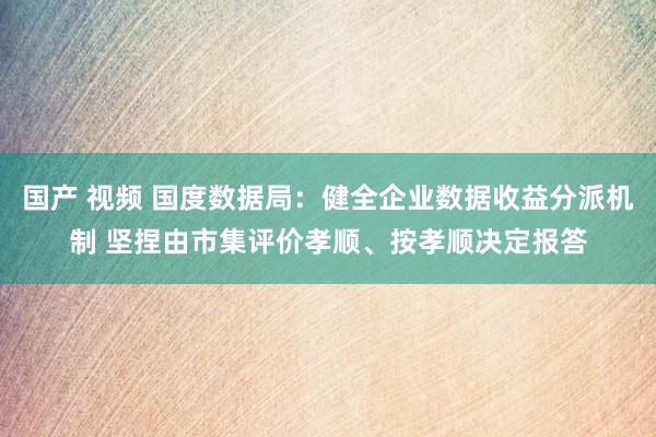 国产 视频 国度数据局：健全企业数据收益分派机制 坚捏由市集评价孝顺、按孝顺决定报答