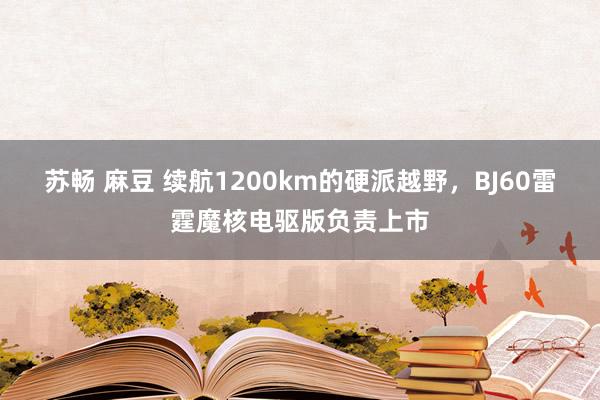 苏畅 麻豆 续航1200km的硬派越野，BJ60雷霆魔核电驱版负责上市