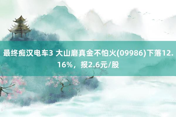 最终痴汉电车3 大山磨真金不怕火(09986)下落12.16%，报2.6元/股