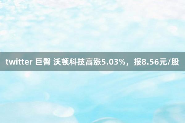 twitter 巨臀 沃顿科技高涨5.03%，报8.56元/股