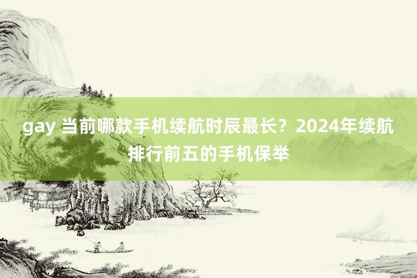 gay 当前哪款手机续航时辰最长？2024年续航排行前五的手机保举