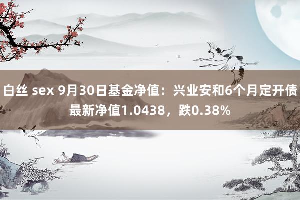 白丝 sex 9月30日基金净值：兴业安和6个月定开债最新净值1.0438，跌0.38%