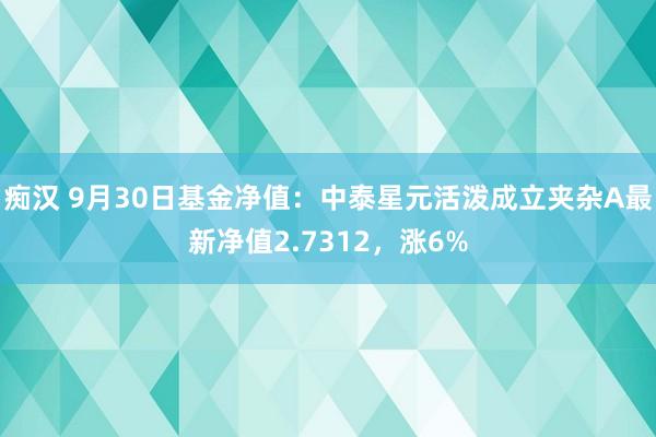 痴汉 9月30日基金净值：中泰星元活泼成立夹杂A最新净值2.7312，涨6%