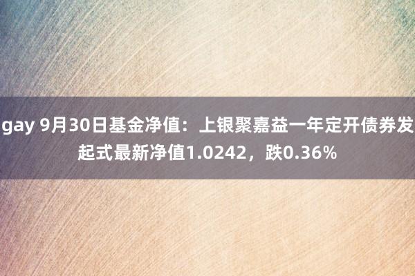 gay 9月30日基金净值：上银聚嘉益一年定开债券发起式最新净值1.0242，跌0.36%