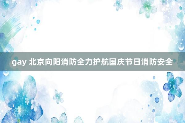 gay 北京向阳消防全力护航国庆节日消防安全