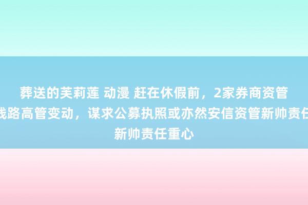 葬送的芙莉莲 动漫 赶在休假前，2家券商资管接连线路高管变动，谋求公募执照或亦然安信资管新帅责任重心