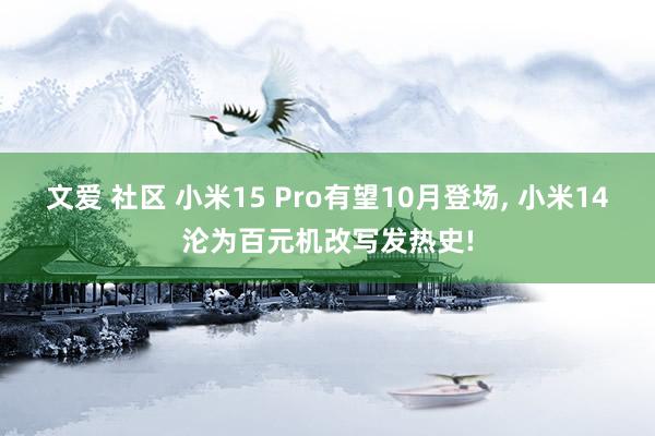 文爱 社区 小米15 Pro有望10月登场, 小米14沦为百元机改写发热史!