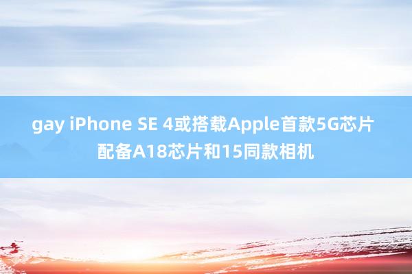 gay iPhone SE 4或搭载Apple首款5G芯片 配备A18芯片和15同款相机