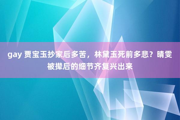 gay 贾宝玉抄家后多苦，林黛玉死前多悲？晴雯被撵后的细节齐复兴出来