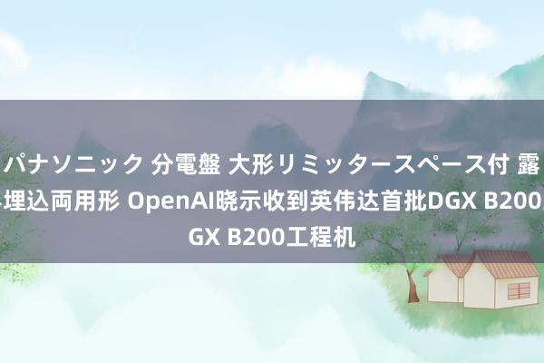 パナソニック 分電盤 大形リミッタースペース付 露出・半埋込両用形 OpenAI晓示收到英伟达首批DGX B200工程机