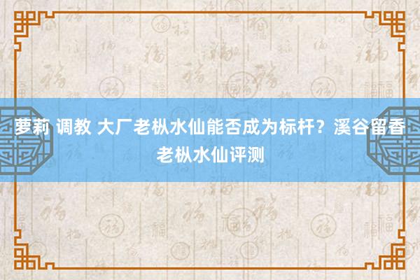 萝莉 调教 大厂老枞水仙能否成为标杆？溪谷留香老枞水仙评测