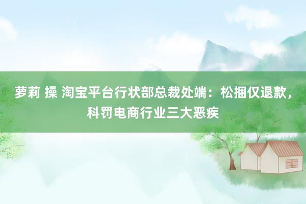 萝莉 操 淘宝平台行状部总裁处端：松捆仅退款，科罚电商行业三大恶疾