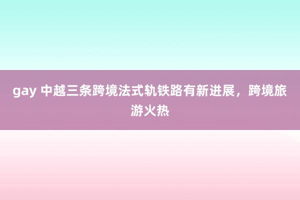 gay 中越三条跨境法式轨铁路有新进展，跨境旅游火热