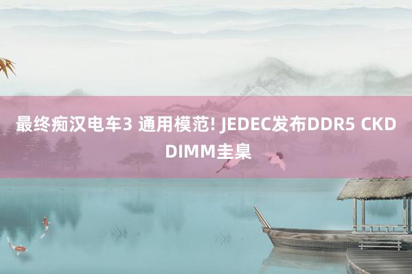 最终痴汉电车3 通用模范! JEDEC发布DDR5 CKD DIMM圭臬