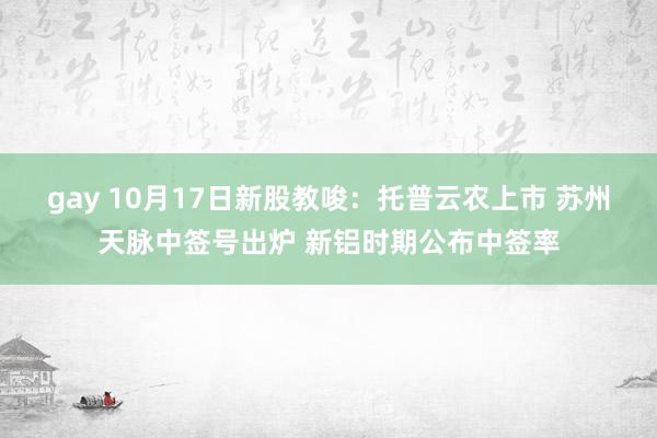 gay 10月17日新股教唆：托普云农上市 苏州天脉中签号出炉 新铝时期公布中签率