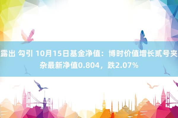 露出 勾引 10月15日基金净值：博时价值增长贰号夹杂最新净值0.804，跌2.07%