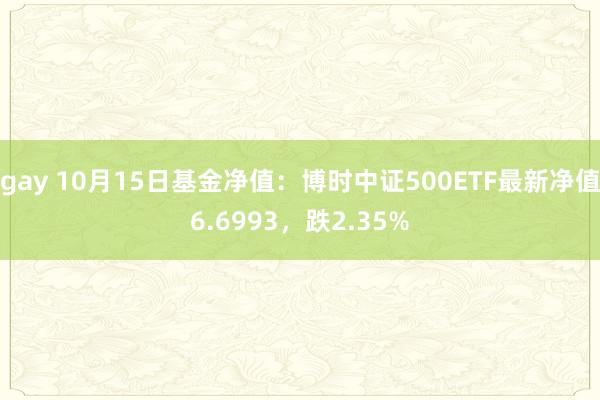 gay 10月15日基金净值：博时中证500ETF最新净值6.6993，跌2.35%