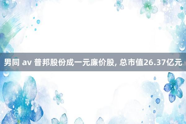 男同 av 普邦股份成一元廉价股, 总市值26.37亿元