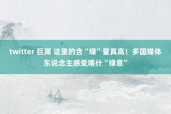 twitter 巨屌 这里的含“绿”量真高！多国媒体东说念主感受喀什“绿意”