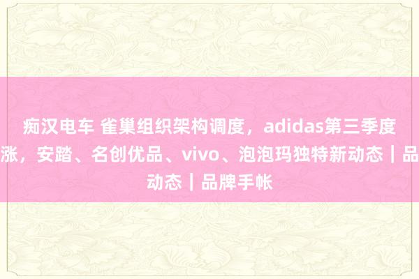 痴汉电车 雀巢组织架构调度，adidas第三季度利润大涨，安踏、名创优品、vivo、泡泡玛独特新动态｜品牌手帐